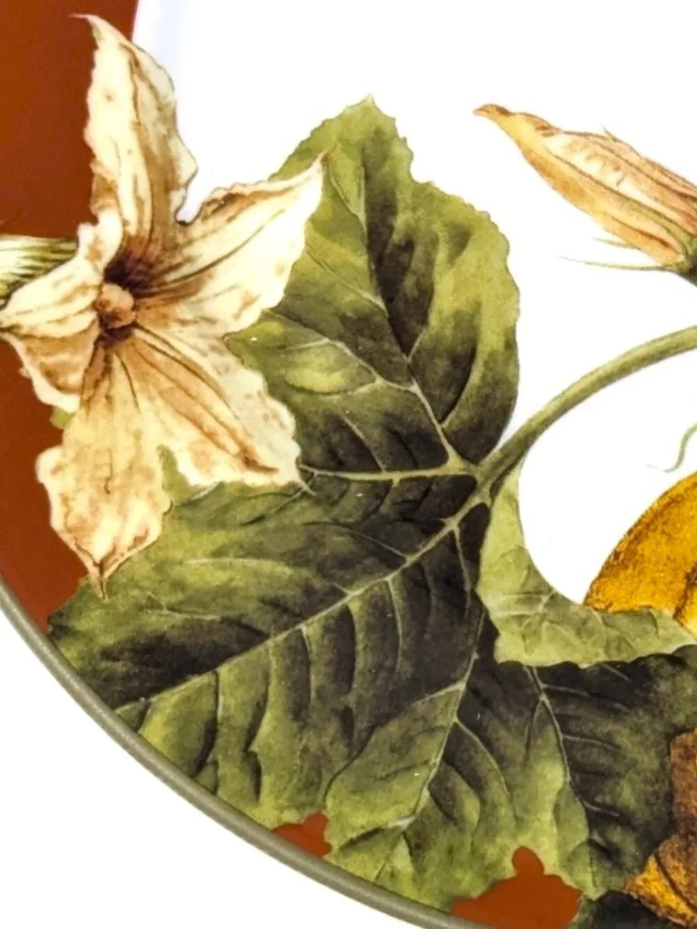 Williams Sonoma BOTANICAL PUMPKIN Salad Plates Set 5 Dark Red Fall 8 1/2
